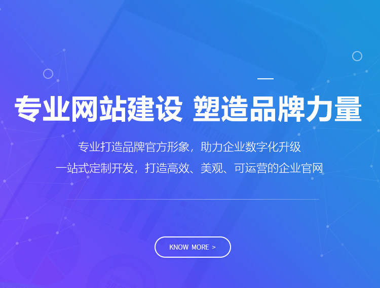 甘孜建站-专业网站建设 塑造品牌力量